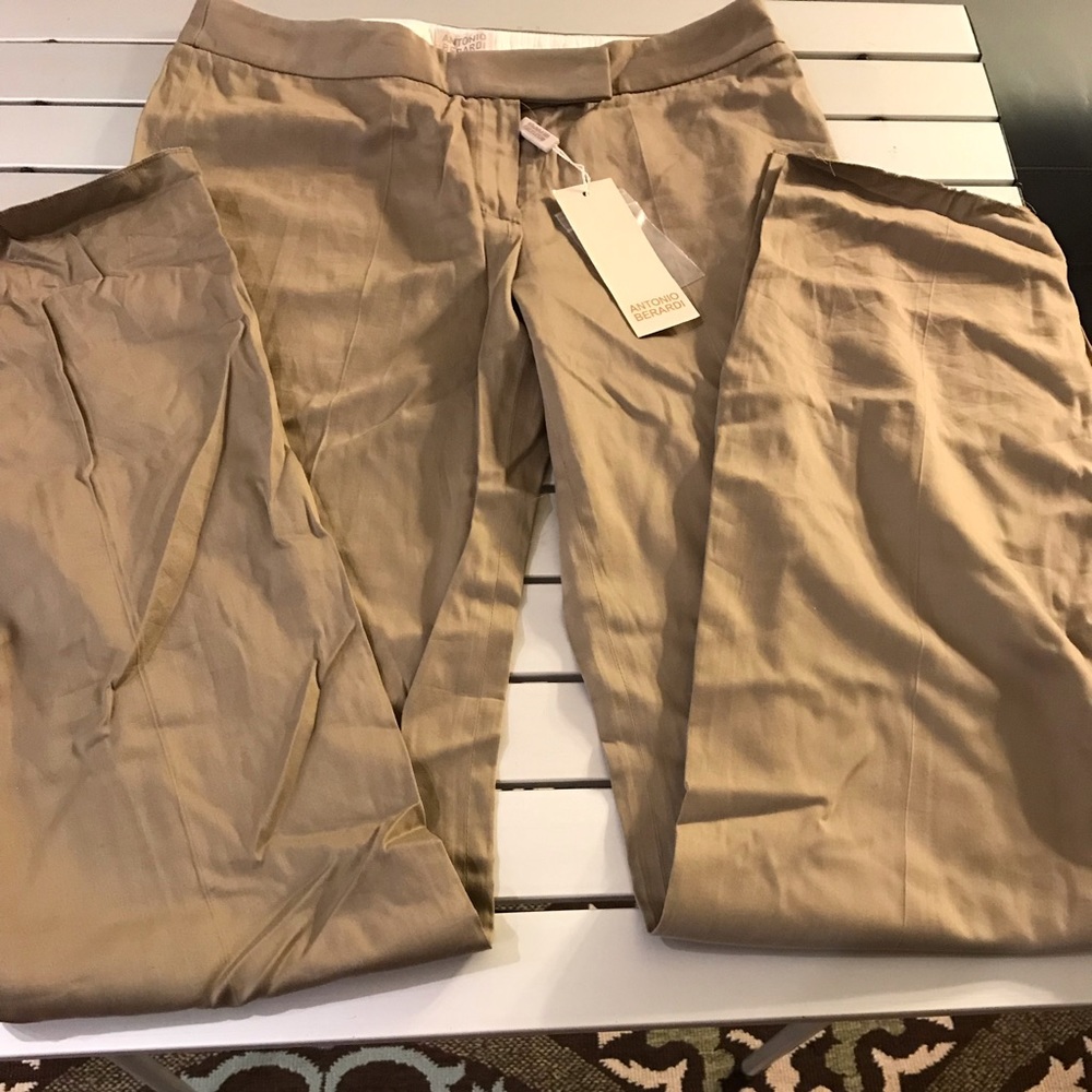 Antonio Berardi slacks (Italian size 42 = US 6)
